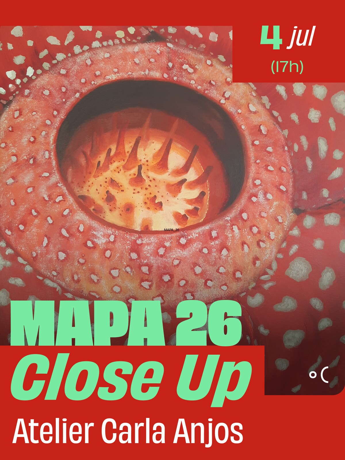MAPA 26 – Close Up