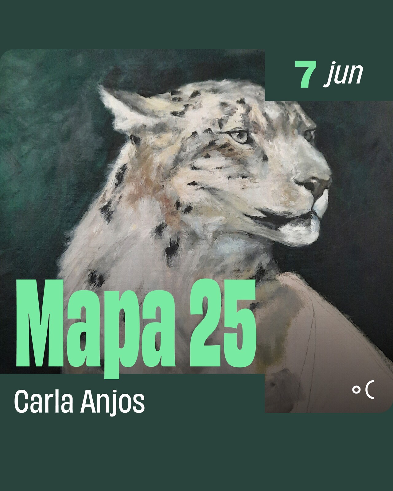 MAPA 25: Mostra Anual de Pintura dos Alunos