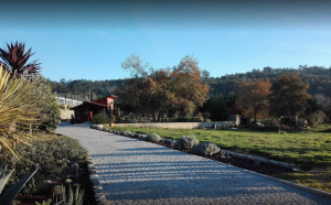 Campo de Sobarbo – Guest House Rural