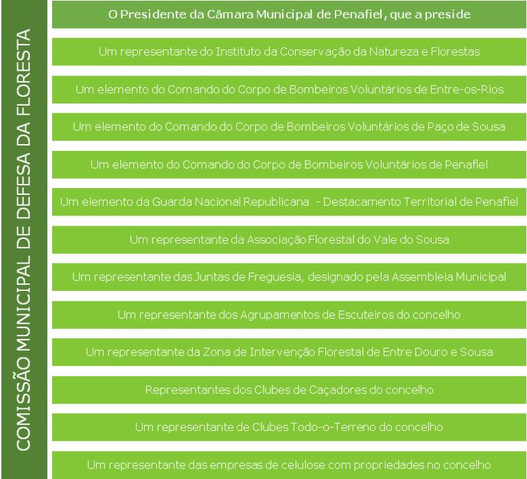 ComissaoMunicipalDefesaFloresta-768x698