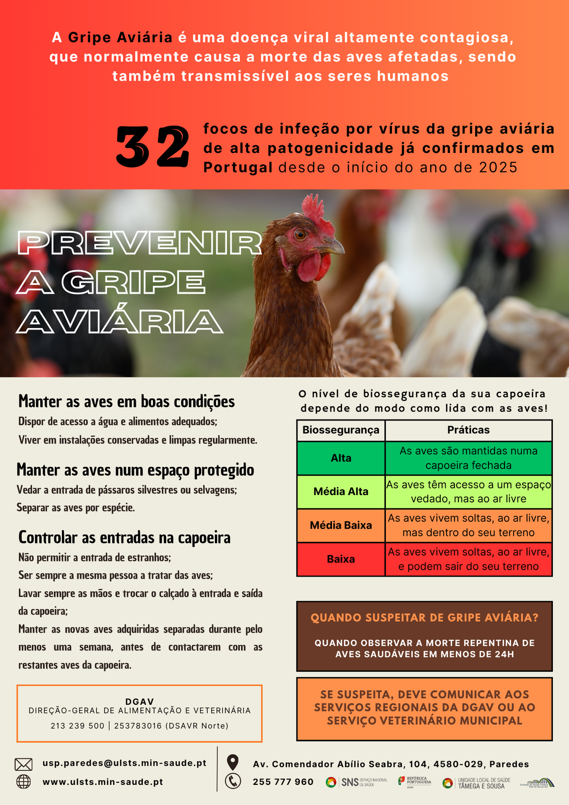 Panfleto Gripe Avi&aacute;ria USP