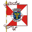bandeira_106_penafiel