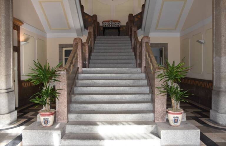 PNFTransparente2-768x496