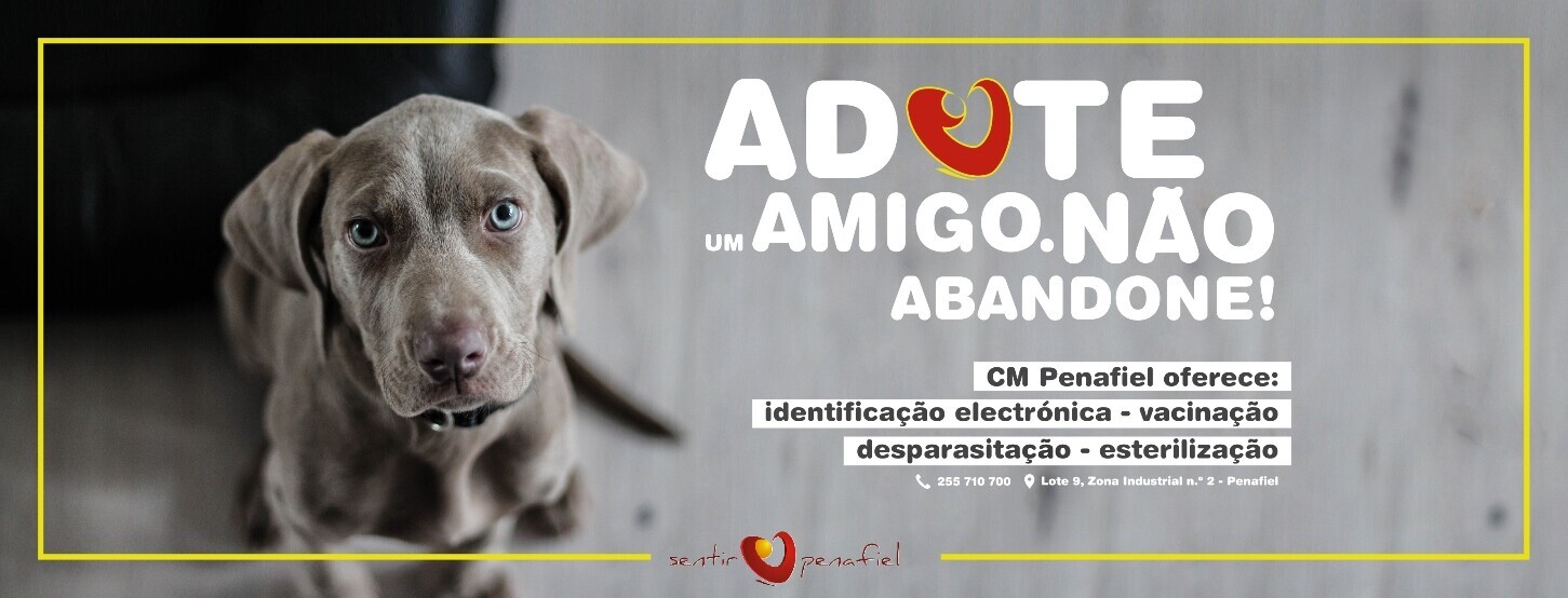 Campanha-Adote-Animal-Destaque