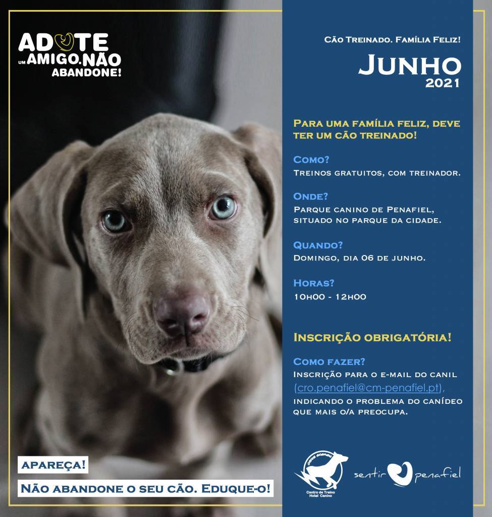 Treino-Canino-Junho2021-975x1024
