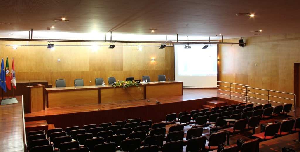 assembleia municipal penafiel