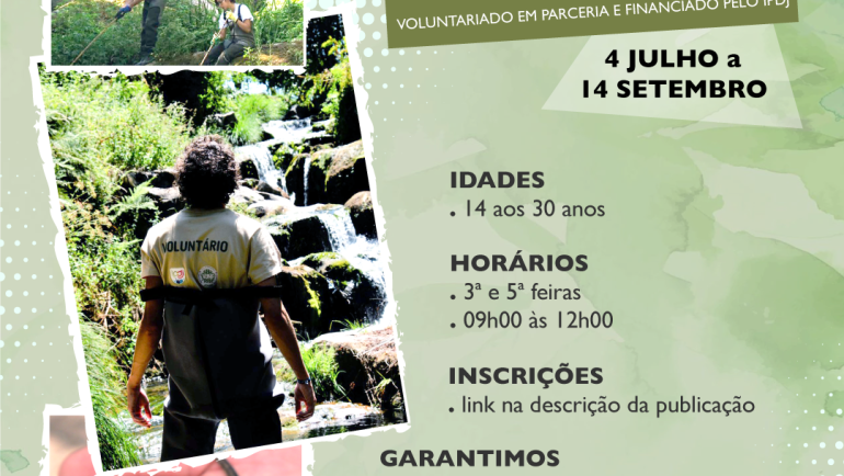 Inscrições abertas para Voluntariado Jovem para a Natureza e Florestas em Penafiel